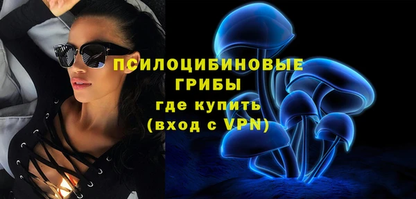 таблы Богородск