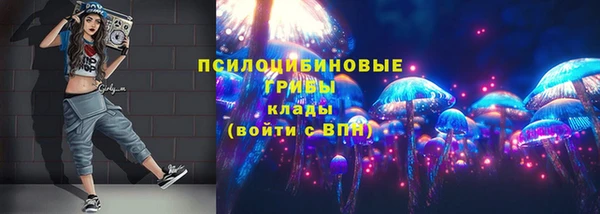 экстази Богородицк