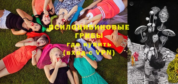 кокаин Богданович