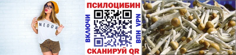 Галлюциногенные грибы MAGIC MUSHROOMS  цены наркотик  Гусев 